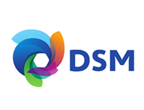 DSM Coating Resins B.V.