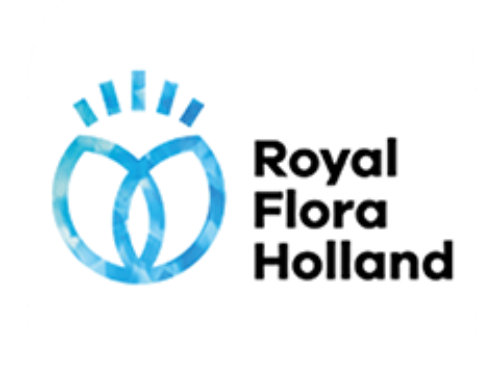Royal FloraHolland