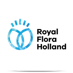Royal FloraHolland